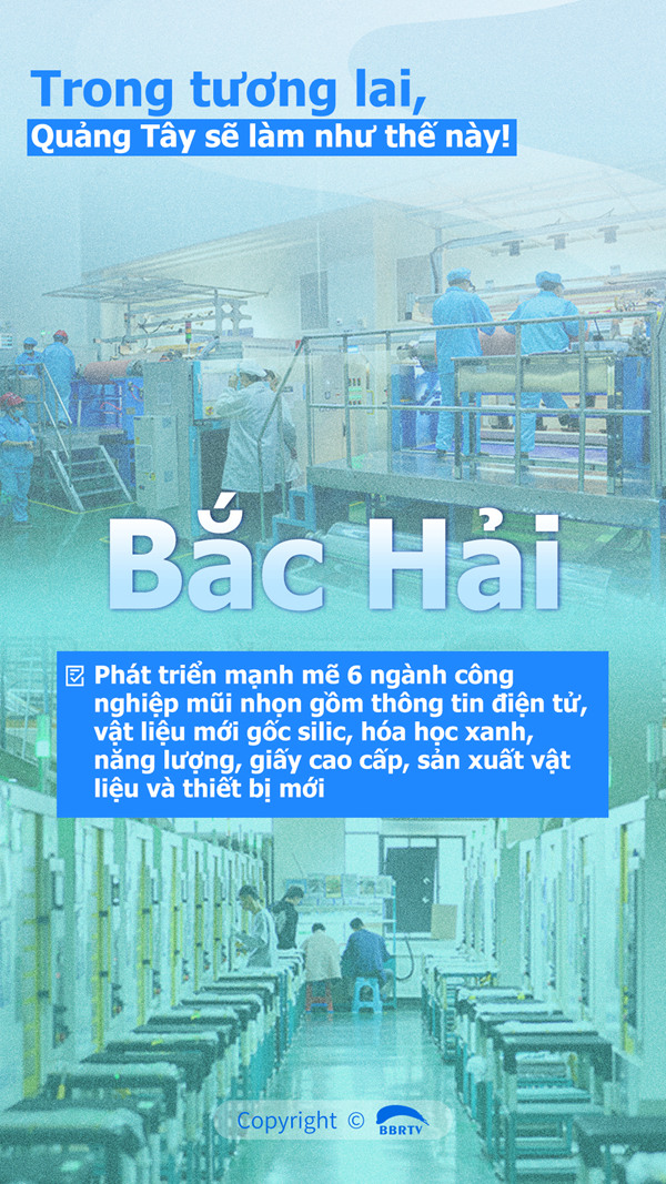 Lịch thi đấu đua chó tại Vũng Tàu